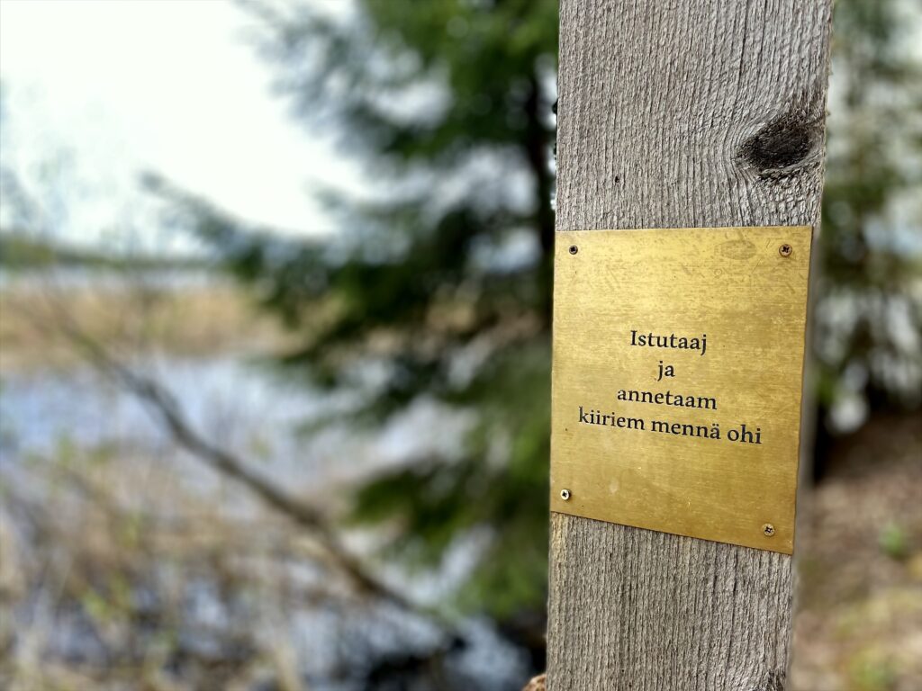 Jos elämäkerta on jäänyt kesken, anna kiireen mennä ohi ja palaa sitten tekstin äärelle.